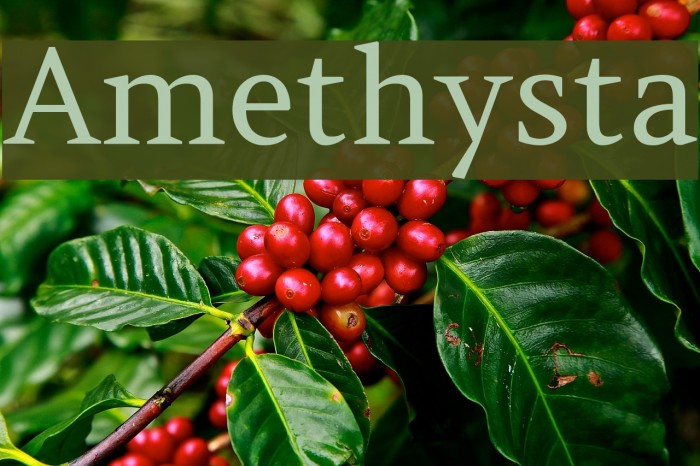 Amethysta Font examples