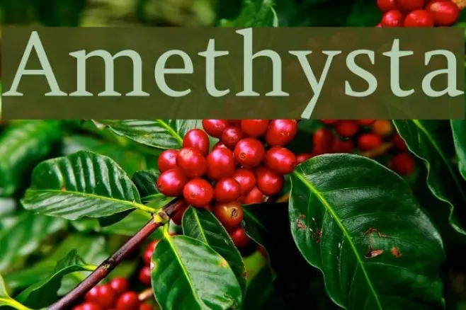 Amethysta Example 2