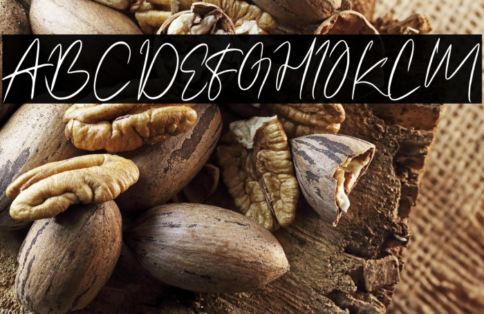 Amettasignature Example 1