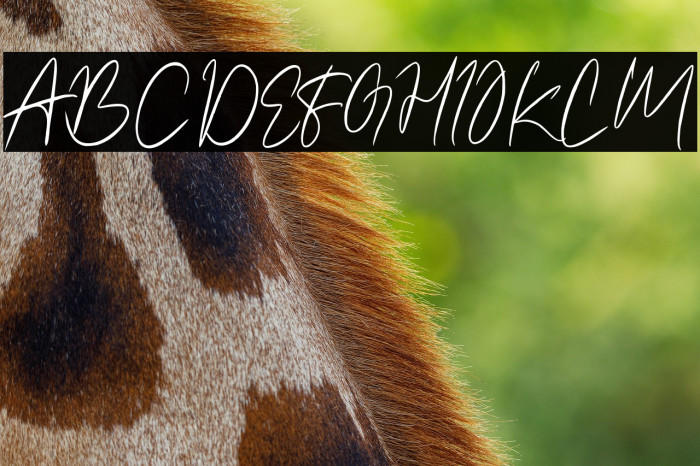 Amettasignature Example 3