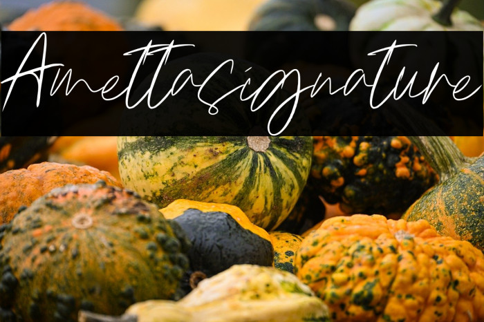 Amettasignature Example 3