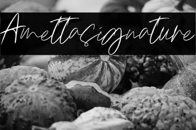 Amettasignature Font examples