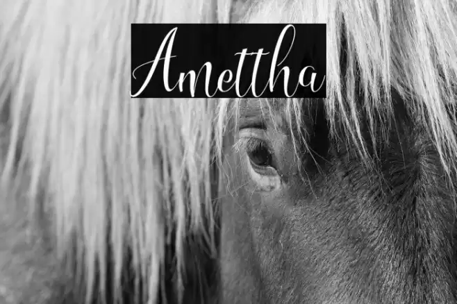 Amettha Font examples