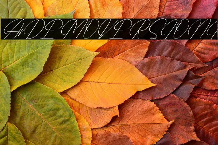 Amfenthari DEMO VERSION Italic Example 3