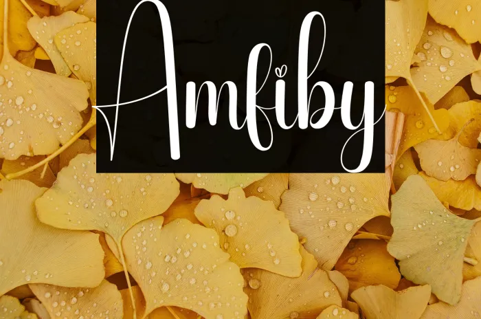 Amfiby Example 1