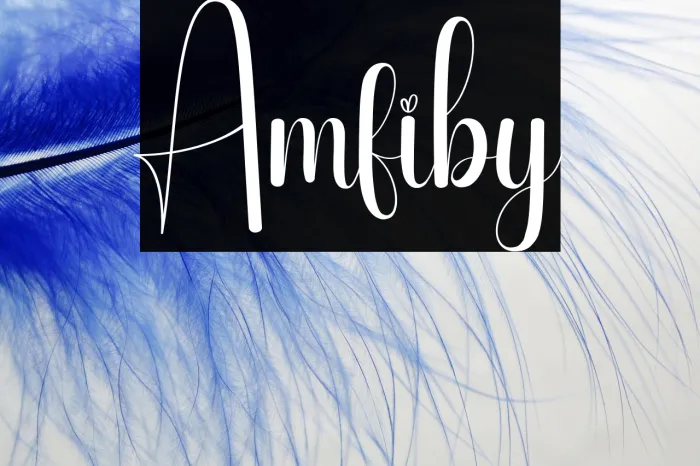 Amfiby Example 2