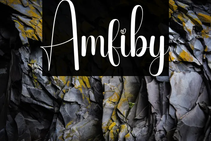 Amfiby Example 3