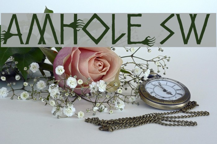 Amhole SW Font examples