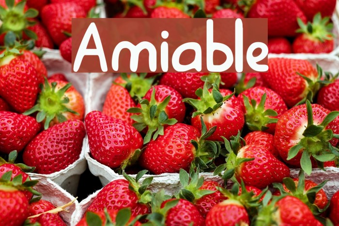 Amiable Font examples