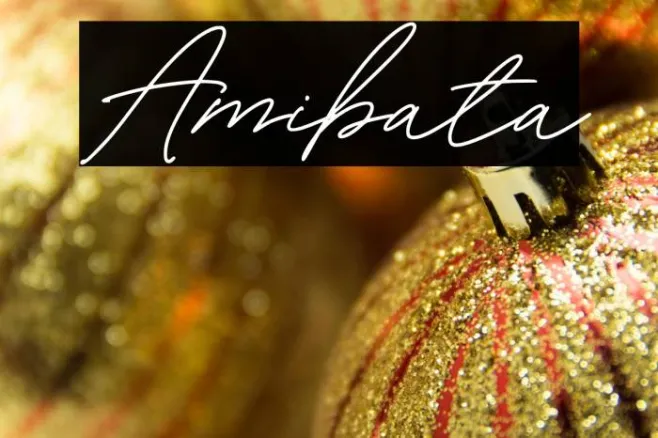 Amibata Example 1