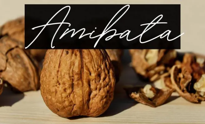 Amibata Example 2