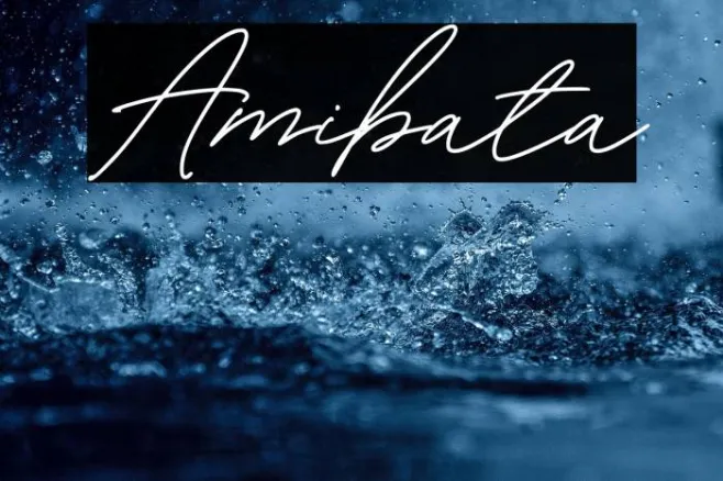 Amibata Example 3