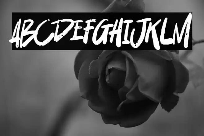 Amicable Font examples