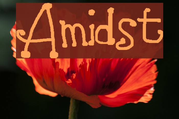 Amidst Font examples