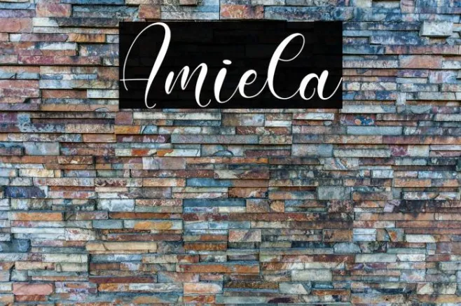 Amiela Example 2