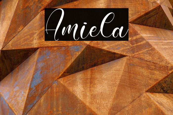 Amiela Example 3
