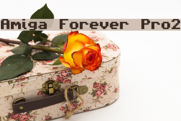 Amiga Forever Pro2 Font examples