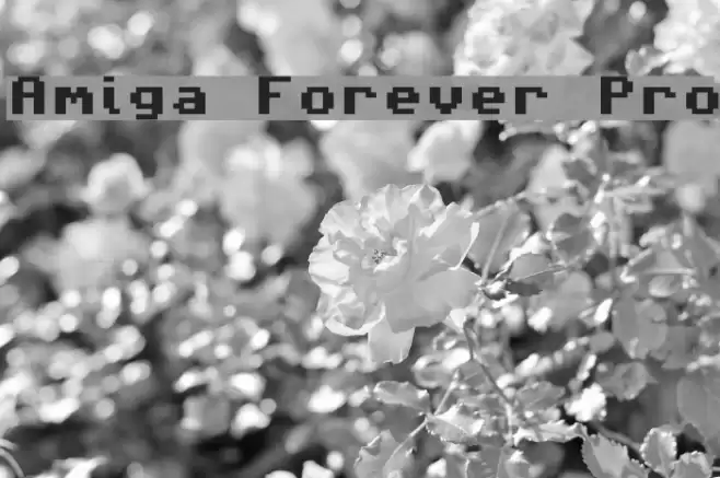 Amiga Forever Pro Schriftart examples