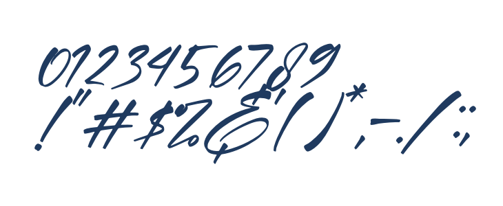 Amigate Endgame Italic Other Characters