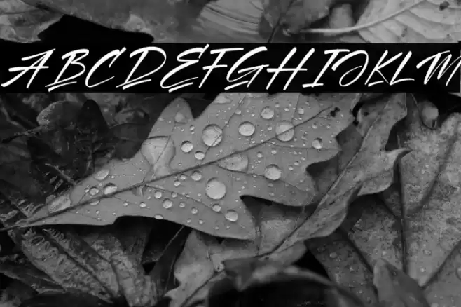 Amigate Endgame Italic Font examples