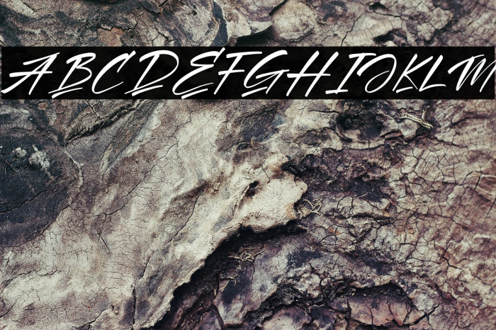 Amigate Endgame Italic Example 3