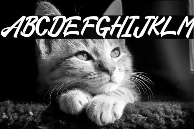 Amigdala Font examples