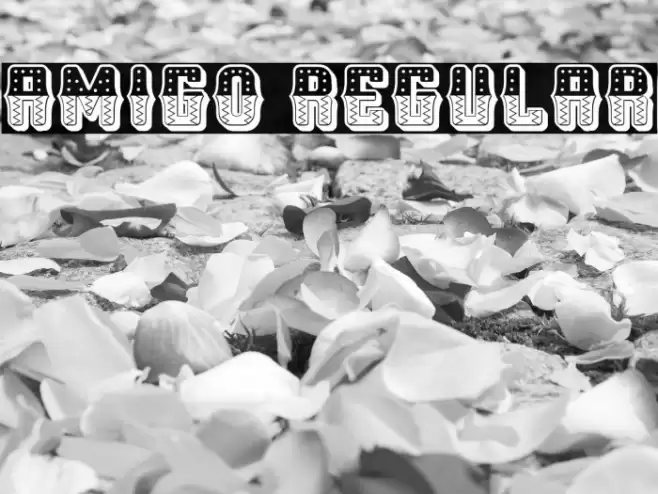 Amigo Regular Font examples