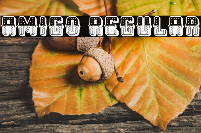 Amigo Regular Example 3
