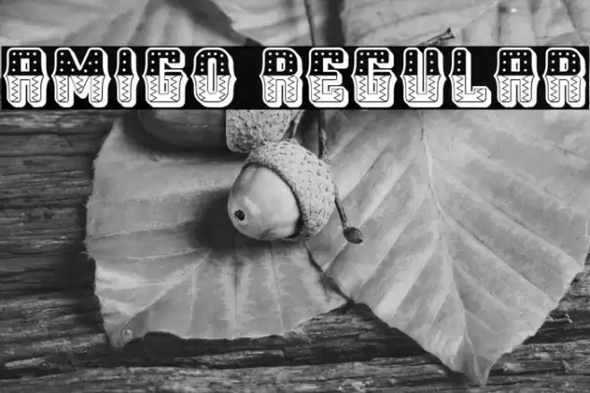 Amigo Regular Font examples