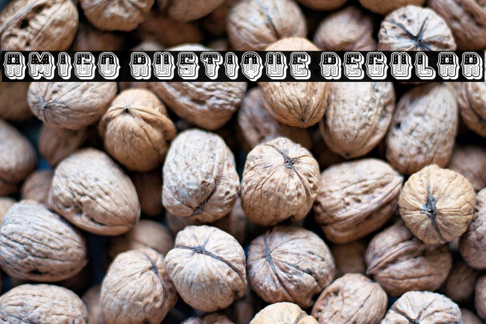 Amigo Rustique Regular Example 1