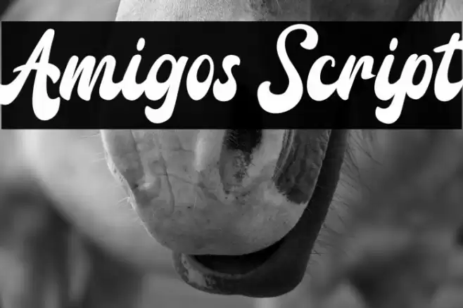 Amigos Script Font examples