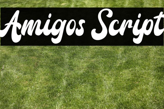 Amigos Script Example 2