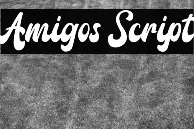 Amigos Script Font examples