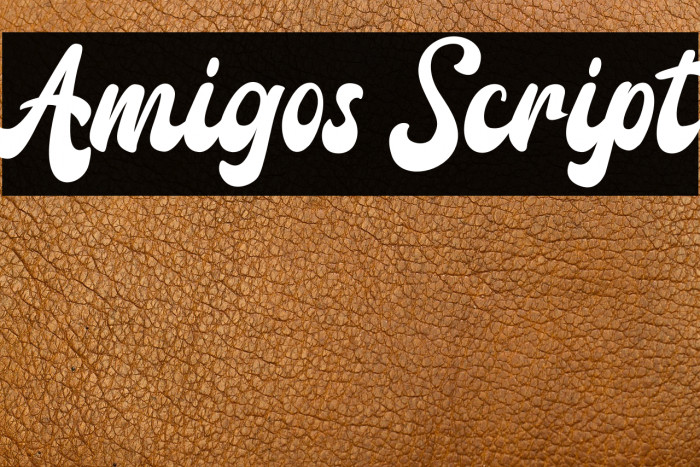 Amigos Script Example 3