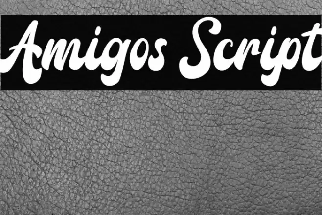 Amigos Script Font examples