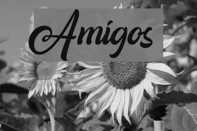 Amigos Font examples