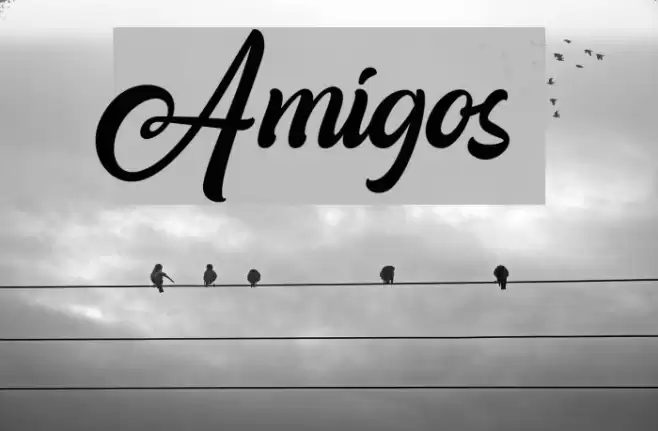 Amigos Font examples