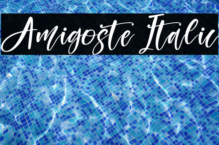 Amigoste Italic Example 1
