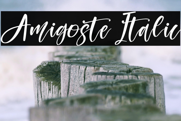 Amigoste Italic Example 2