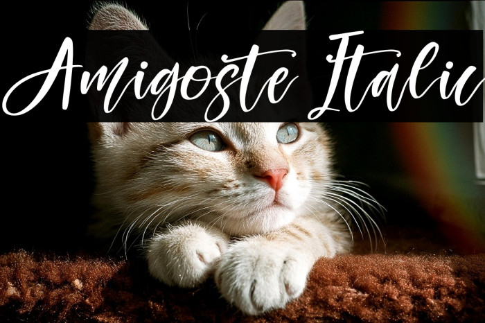 Amigoste Italic Example 3