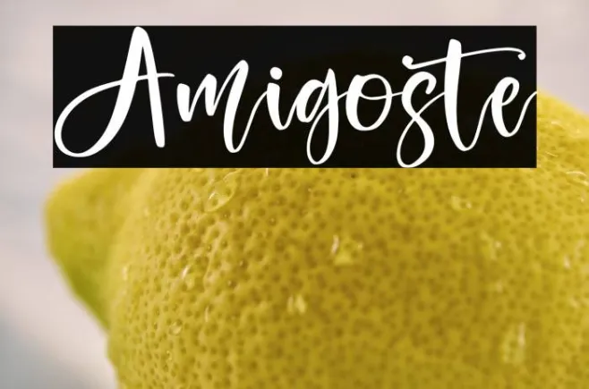 Amigoste Example 1