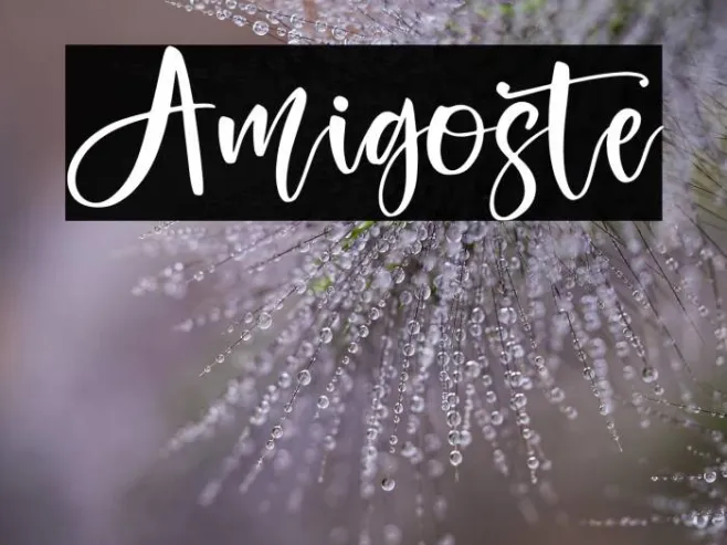 Amigoste Example 2