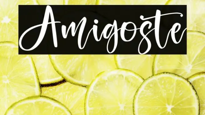 Amigoste Example 3