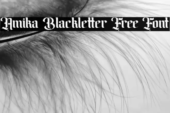Amika Blackletter Free Font Font examples