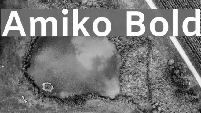 Amiko Bold Font examples