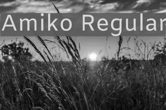 Amiko Regular Font examples