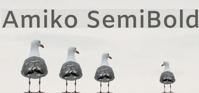 Amiko SemiBold Example 1