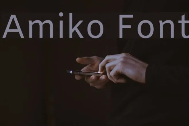 Amiko Example 3