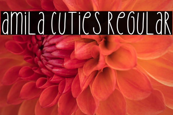 Amila Cuties Regular Example 2