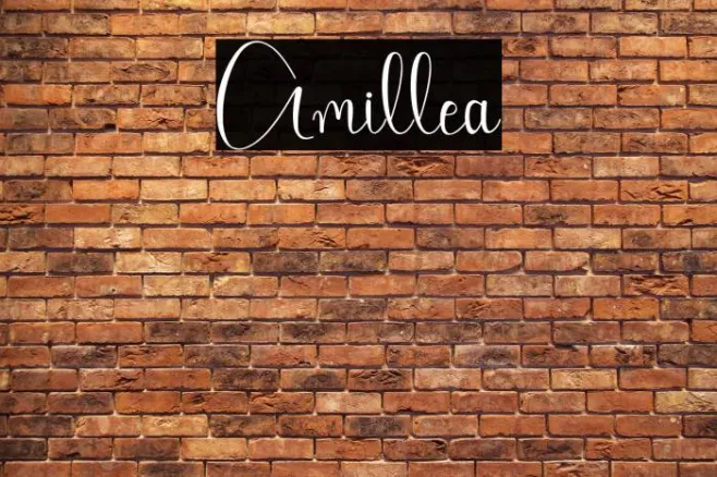 Amillea Example 2